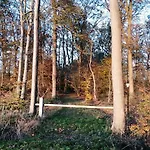 Veenemaat Winterswijk