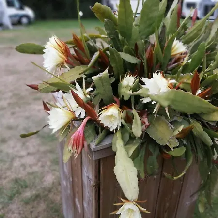 Veenemaat Bed & Breakfast 3*