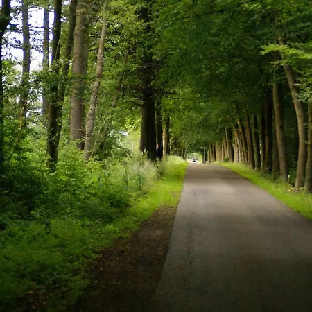 B&B Veenemaat