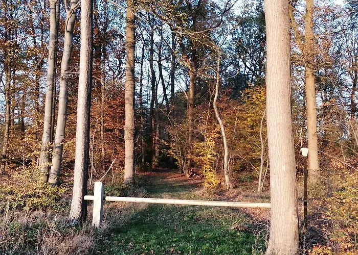 Veenemaat Winterswijk