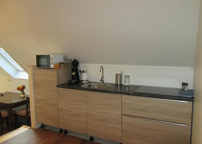 Veenemaat ווינטרסווייק