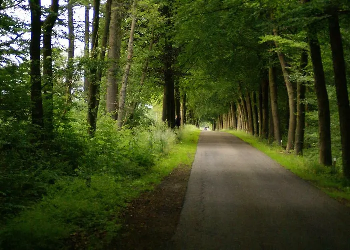 Bed & Breakfast Veenemaat